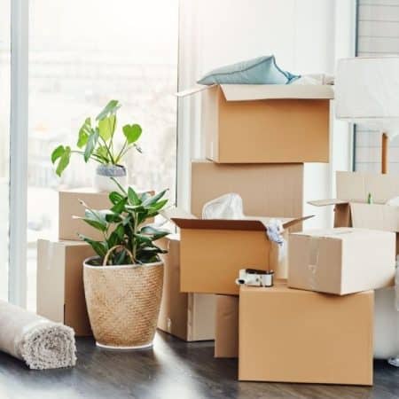 Move in and move out cleaning service